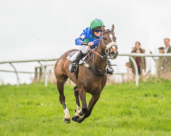 Pony Races-131