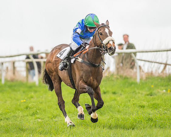 Pony Races-132