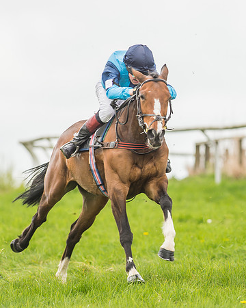 Pony Races-133