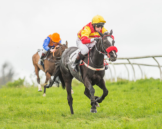 Pony Races-134