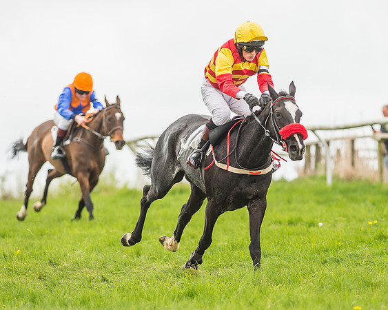 Pony Races-136
