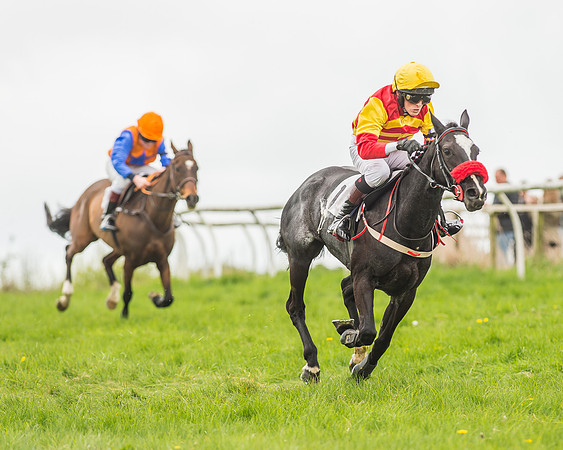 Pony Races-137