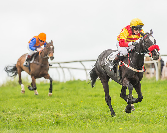 Pony Races-138