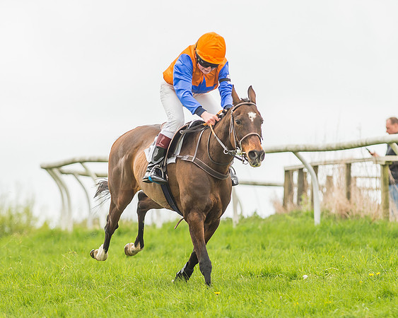 Pony Races-139
