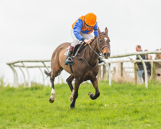 Pony Races-140