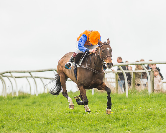 Pony Races-141