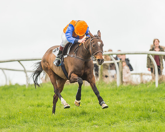 Pony Races-142