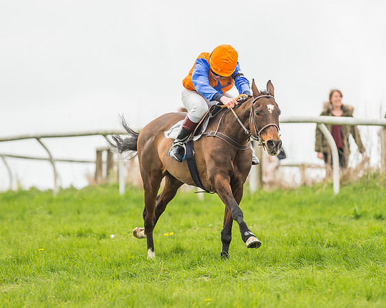 Pony Races-143