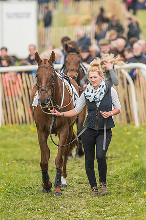 Race 5 - Restricted Race-3