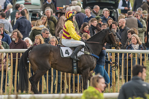 Race 5 - Restricted Race-29