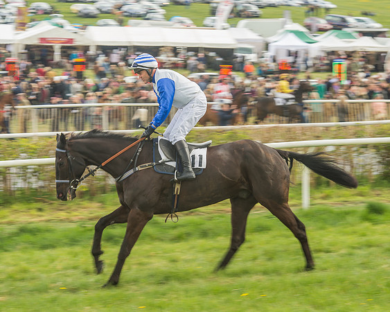 Race 5 - Restricted Race-31