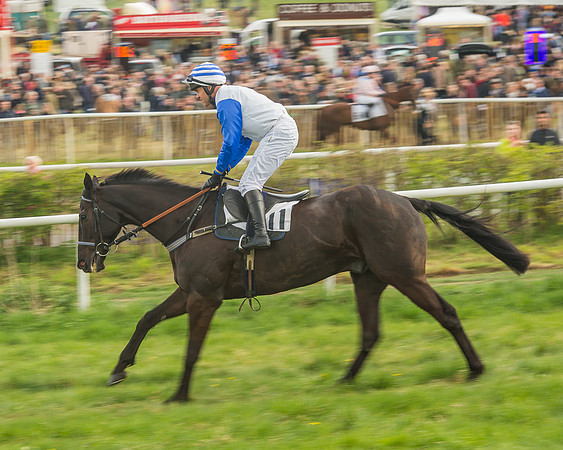 Race 5 - Restricted Race-32
