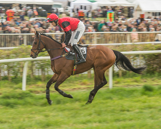 Race 5 - Restricted Race-33