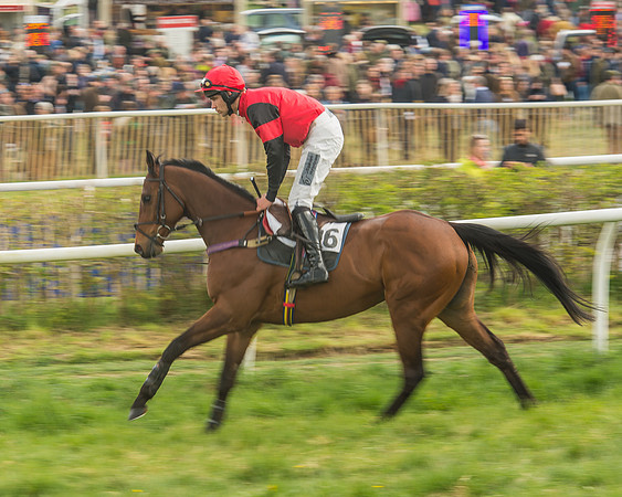 Race 5 - Restricted Race-34