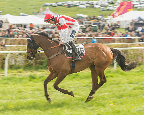 Race 5 - Restricted Race-36