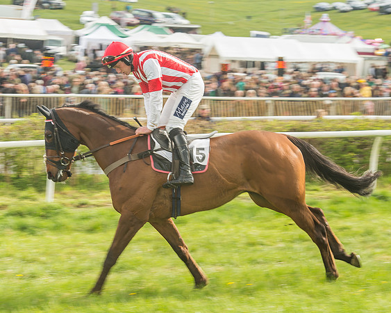 Race 5 - Restricted Race-37