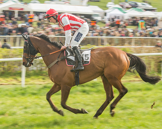 Race 5 - Restricted Race-38