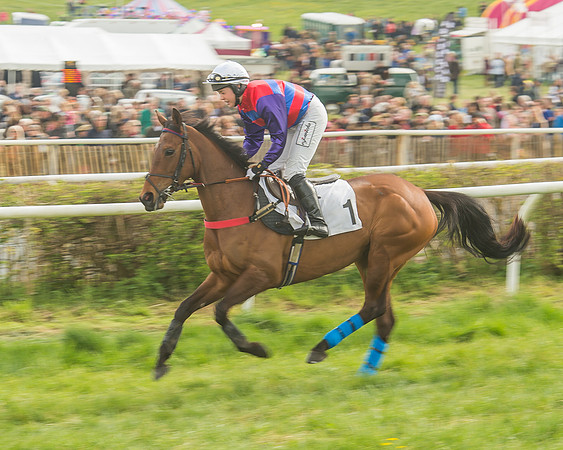 Race 5 - Restricted Race-41