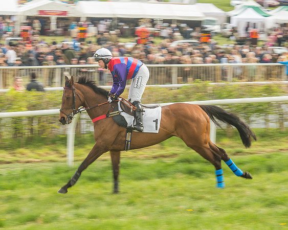 Race 5 - Restricted Race-42