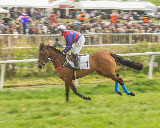 Race 5 - Restricted Race-43