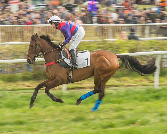 Race 5 - Restricted Race-44