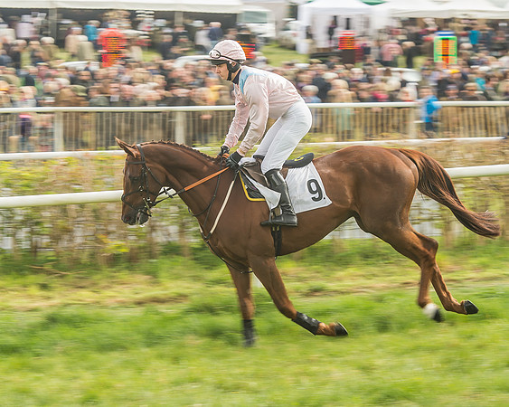 Race 5 - Restricted Race-45
