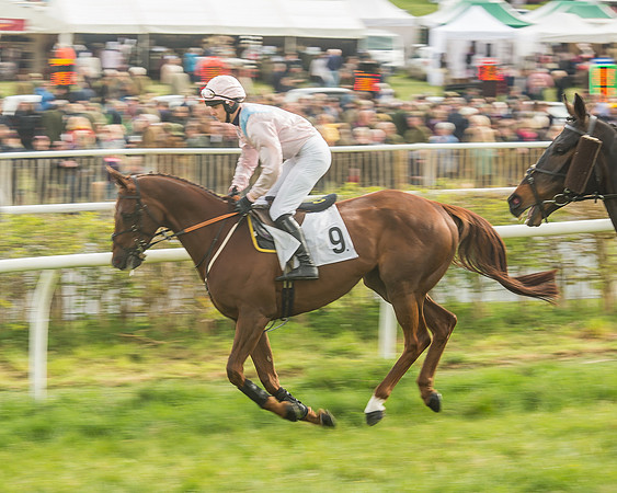Race 5 - Restricted Race-46