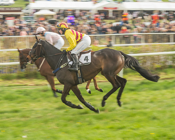 Race 5 - Restricted Race-47