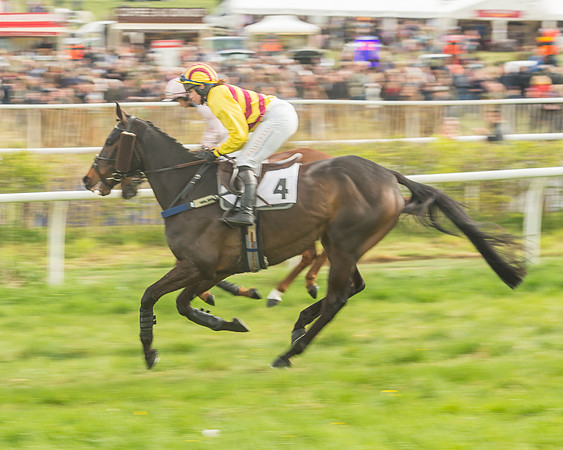 Race 5 - Restricted Race-48