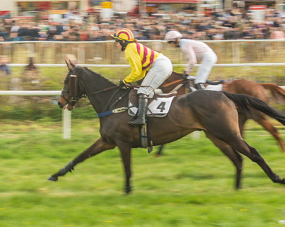 Race 5 - Restricted Race-49