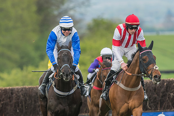 Race 5 - Restricted Race-65