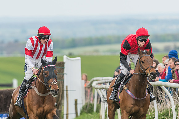 Race 5 - Restricted Race-66