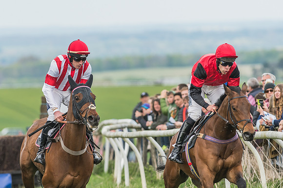 Race 5 - Restricted Race-68