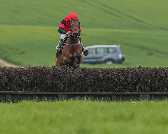 Race 5 - Restricted Race-69