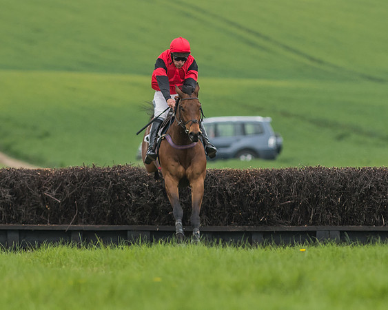 Race 5 - Restricted Race-71