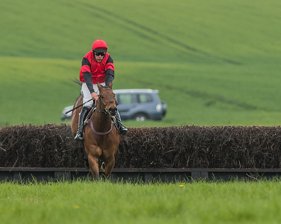 Race 5 - Restricted Race-72
