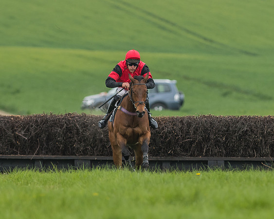 Race 5 - Restricted Race-73