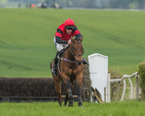 Race 5 - Restricted Race-76