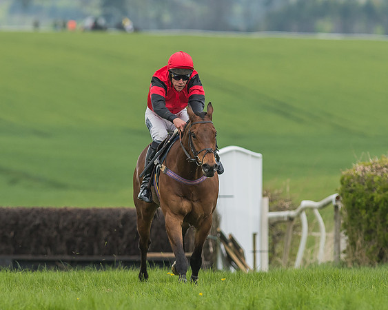 Race 5 - Restricted Race-77