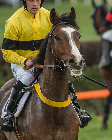 Kimblewick Easter Meeting 2017