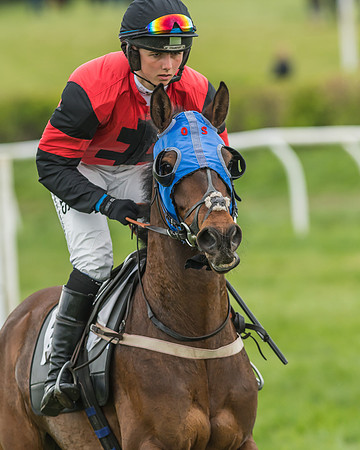 Kimblewick Easter Meeting 2017