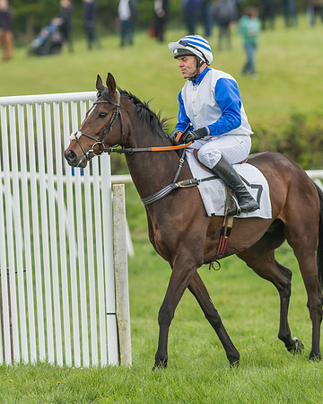 Kimblewick Easter Meeting 2017