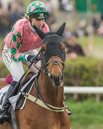 Kimblewick Easter Meeting 2017