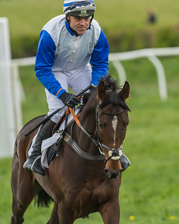 Kimblewick Easter Meeting 2017
