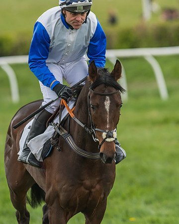 Kimblewick Easter Meeting 2017