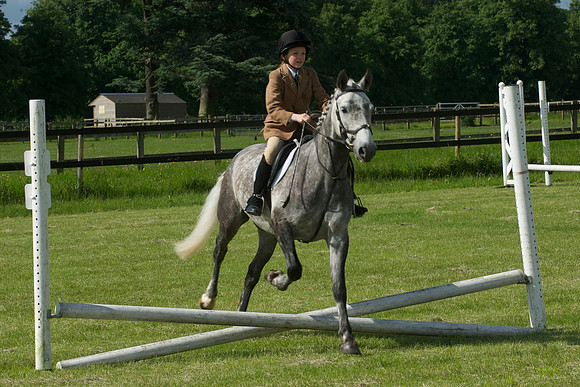 SOHS PC Summer Show at BCA 17th June 2012