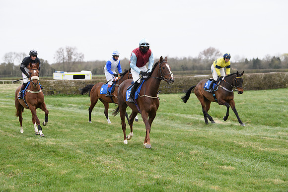Race 2 - Open Maiden Race  (22 of 167)