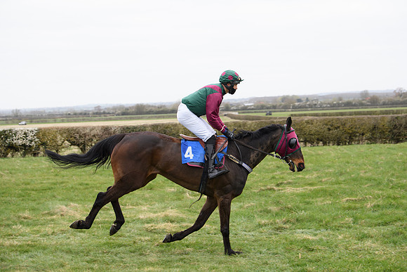 Race 2 - Open Maiden Race  (36 of 167)