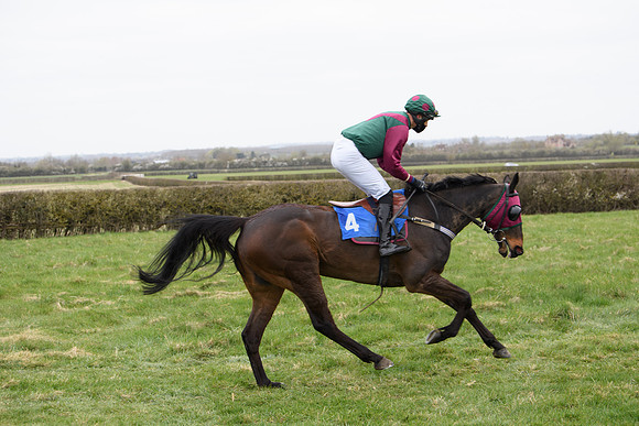 Race 2 - Open Maiden Race  (38 of 167)