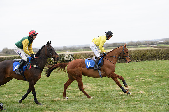 Race 2 - Open Maiden Race  (39 of 167)